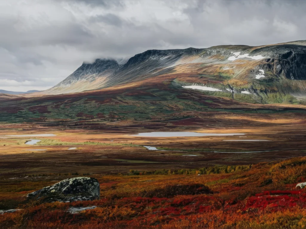 Vidsträckt landskap med färgstark tundra i förgrunden, en slingrande bäck och en bergskedja i bakgrunden under en molnig himmel. Fläckar av snö dröjer sig kvar på bergen.